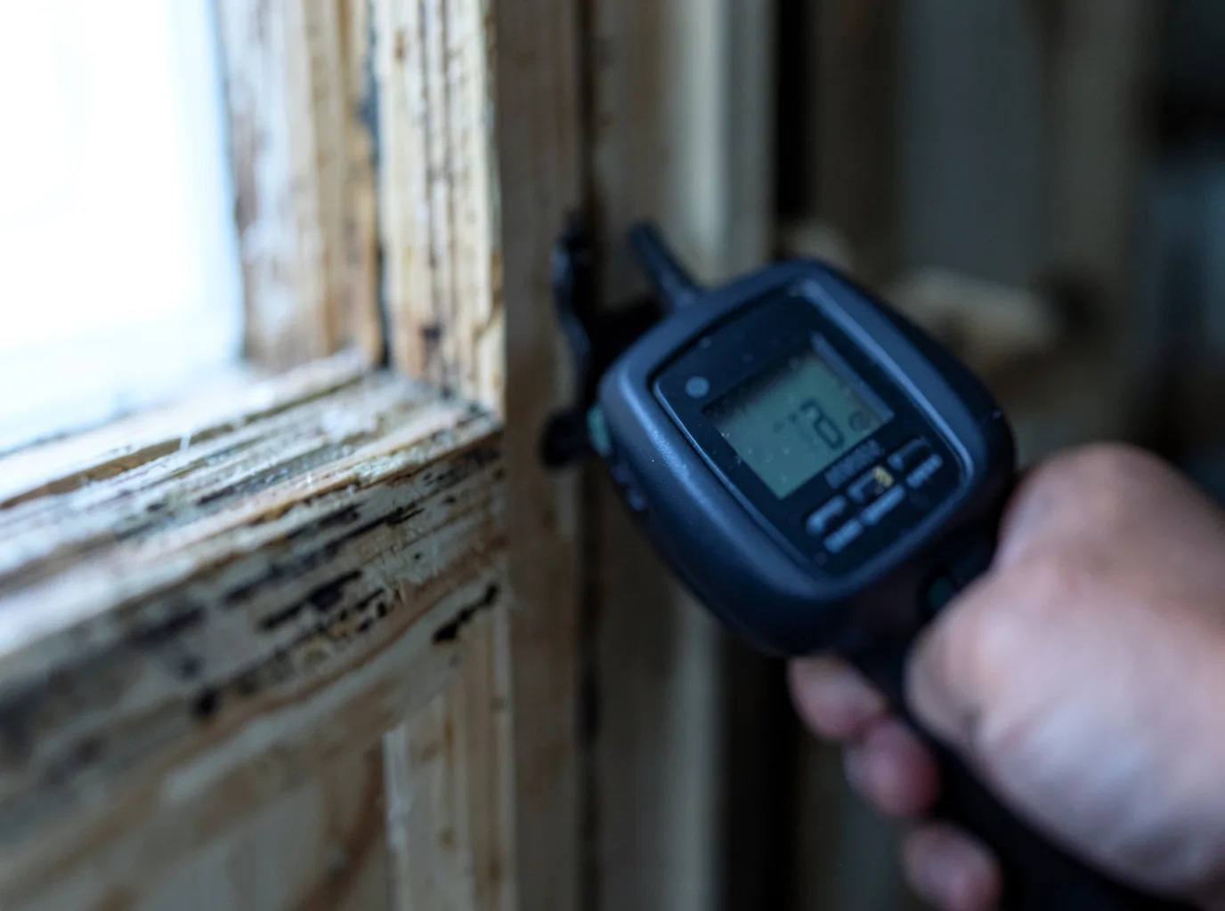 Moisture Inspection And Documentation in Gardner, KS